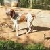 Billy Hinkle - Facebook