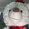 billyhirsch - @billyhirsch - TikTok