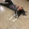 Billy hohertz - @billyhohertz136 - TikTok