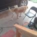 Billy Holcomb - Facebook
