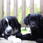 Billy And Holly - @billy_and_holly100 - Instagram