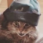Billy Holly - @peterholly1964 - Instagram