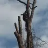 Billy Holmes - @billy.holmes2 - TikTok