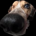 Billy Holton - @billy_holton11 - Instagram