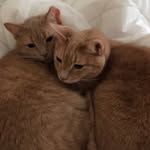 Billy & Honey - @billyandhoney - Instagram