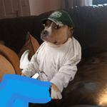 Billy - @billyhoney15 - Instagram