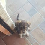 honey_billy - @honey_billy1 - Instagram
