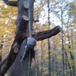 Bill Hooten - @billhooten - Instagram