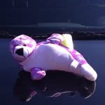 Billy Squilliam Hoover - @billythemanatee - Instagram