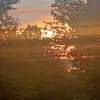 Billy Horner596 - @billyhorner5 - TikTok