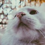 Billy Hossain - @billy.hossain - Instagram