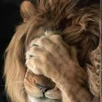 Billy Howe - Facebook