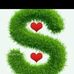 Bolo Holo - Facebook