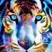 Billie Huber - Facebook