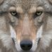 Billy Huber - Facebook