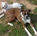 Billy Hudspeth - Facebook