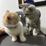 Billy & Igor - @billyandigor - Instagram