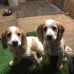 Billy's Innes - @innesbillys - Instagram