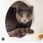Billy Jacobson - @billjacobson3 - Instagram