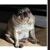 Billy jacobson - @billyjacobson1977 - TikTok