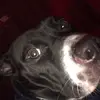 Billy Jordan - @billyjord1471 - TikTok