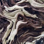 Bill Langdon - @bill.langdon.125 - Instagram