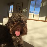 Billy Langstone - @billy.langstone - Instagram
