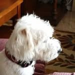 Bill Lentz - @billlentz - Instagram