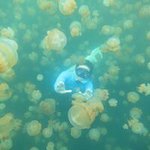 Billy Lim - @billy_ecodivers - Instagram