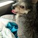 Billy Locklear - Facebook