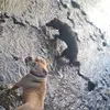 Billy logan - @billy.boy096 - TikTok