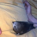 @billy.loiseau1 - Instagram