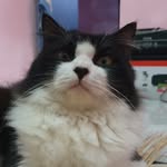 billy - @billy_loi_sby - Instagram