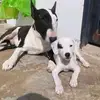 Billy Loixa - @billy.loixa - TikTok
