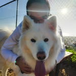 Vp - @billy_low_p - Instagram