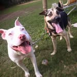 Billy_Lunna - @billy_lunna2 - Instagram