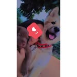 @billy_lunnah - Instagram