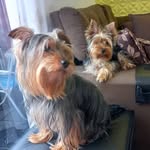Billy&lunna - @billy.lunna - Instagram