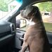 Billy Lyle - Facebook