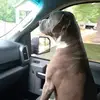 Billy Lyle - @billy.lyle - TikTok