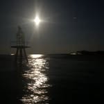 Billy Lyons - @billylyons302 - Instagram