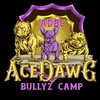BILLIE MACK - @acedawgbullyzcampllc - TikTok