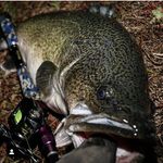 Billy Mathews - @fishing_natives07 - Instagram