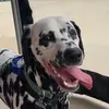 baileymcclish - @baileymcclish - TikTok