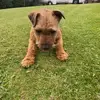 Billy McClure - @billy.mcclure3 - TikTok