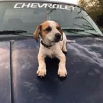 Till Billy McClure - @till.kick.ass.billy - Instagram