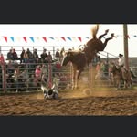 Billy McDonald Rodeo Co. - @bmrccrew - Instagram