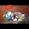 Billy Mcdonald - @billymcdonald - TikTok