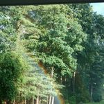 Bill McGinty - @billymcgint - Instagram