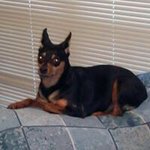 Billy Meade - @meadebilly - Instagram